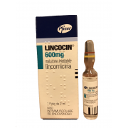 Линкоцин (Линкомицин) уколы 600 мг